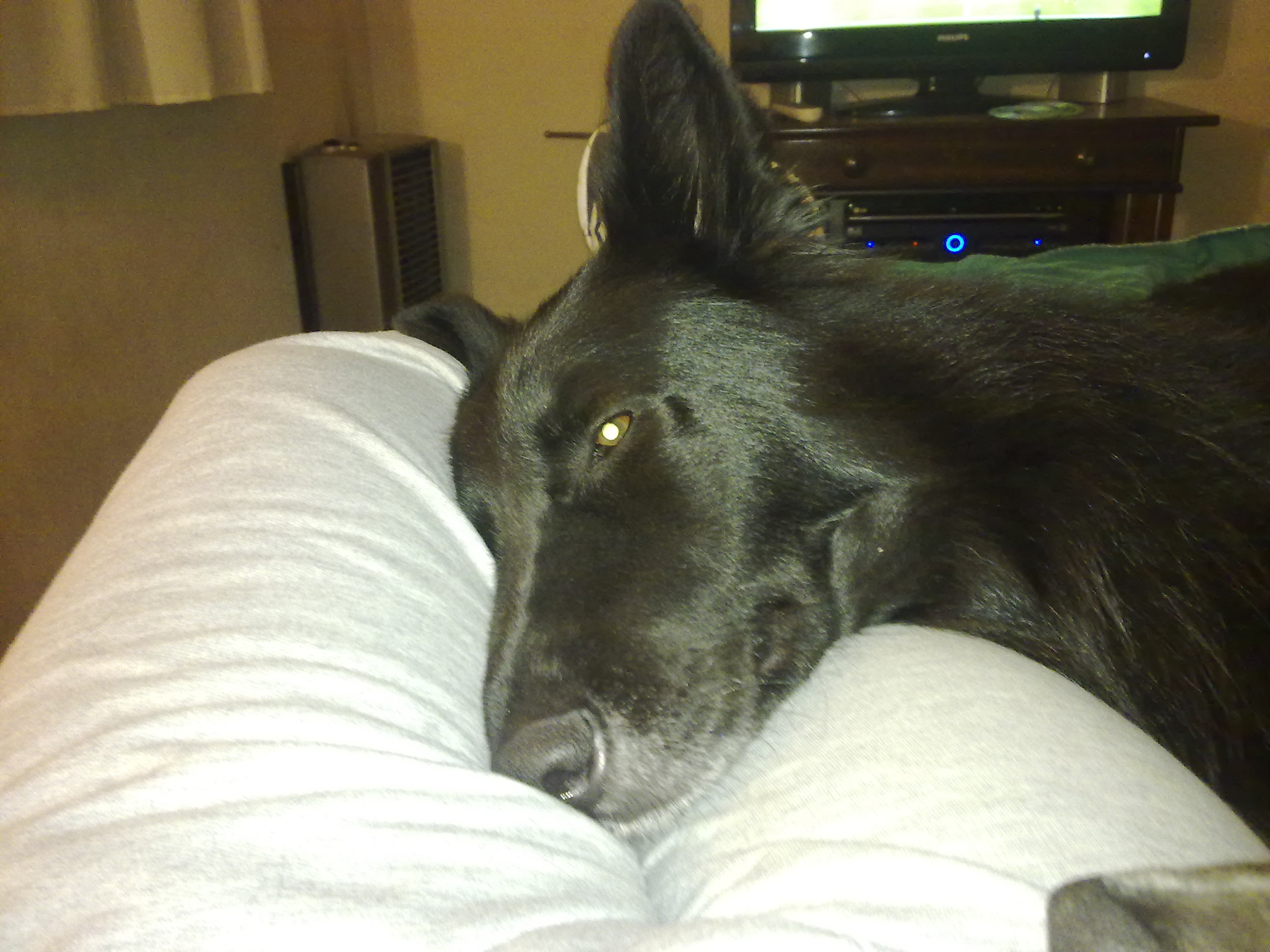 fotos/2010-07-19 - Mision Mundial/11062010431.jpg